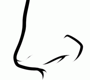 302x269 How To Draw An Easy Nose, Step