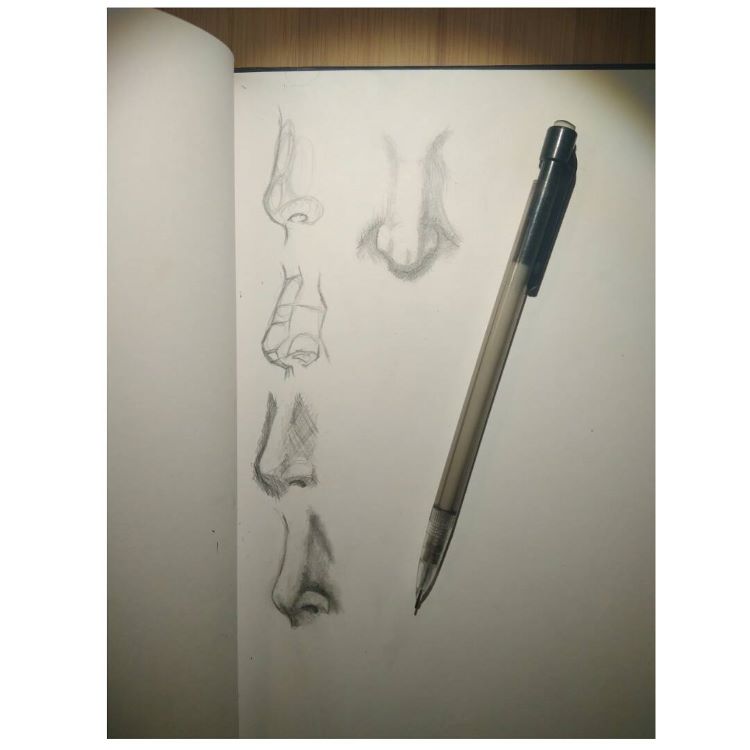 750x750 Drawings Of Noses Sketches, Studies Sketchbook Examples
