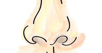 341x179 How To Draw Kids Nose We Draw Kids