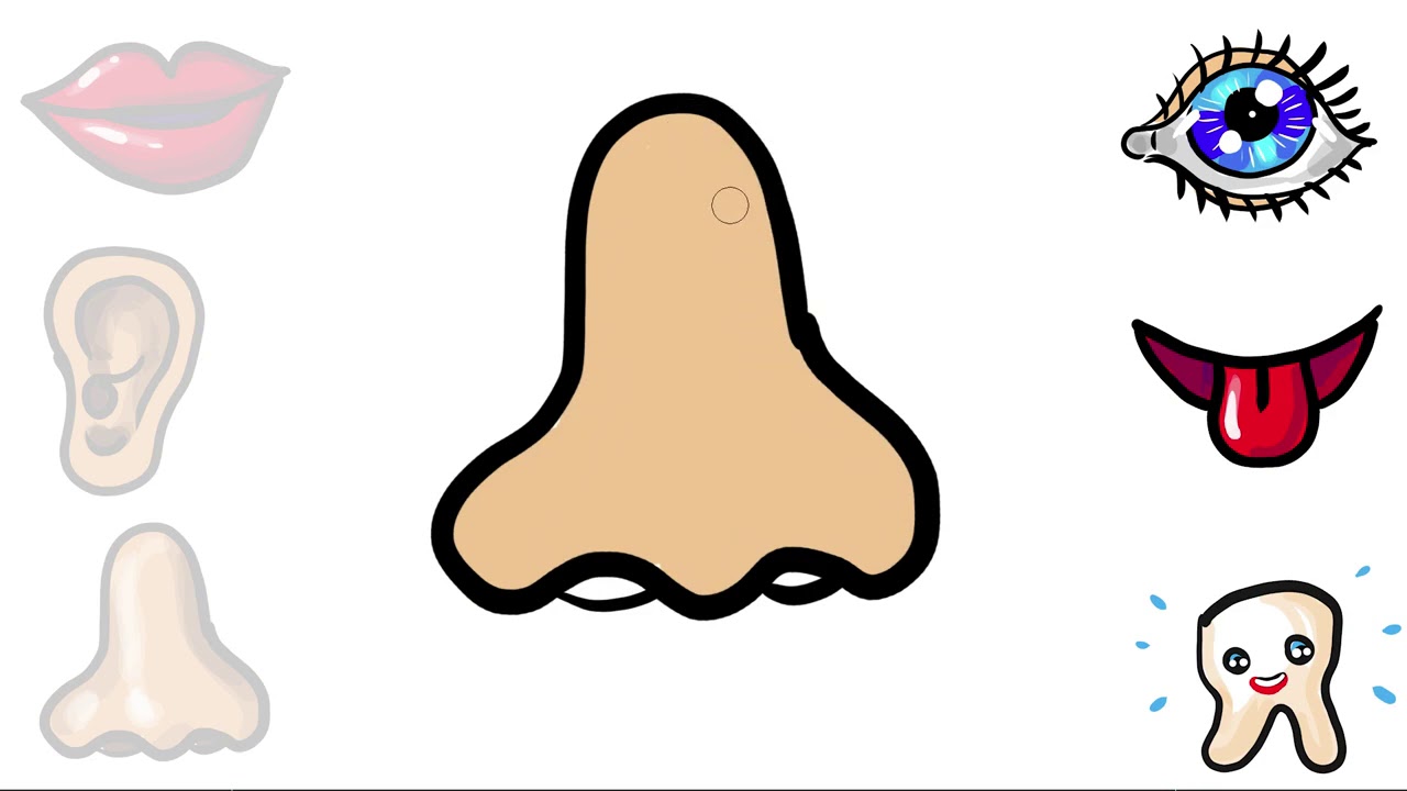 1280x720 Blackheads Removal Lips, Ear, Nose, Eye Coloring For Toddlers