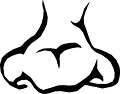 240x188 Drawing Noses Is Easy