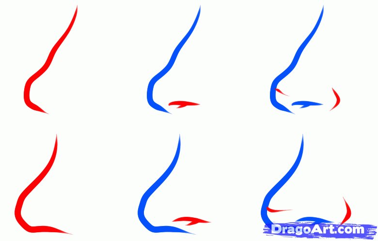 780x498 How To Draw An Easy Nose, Step