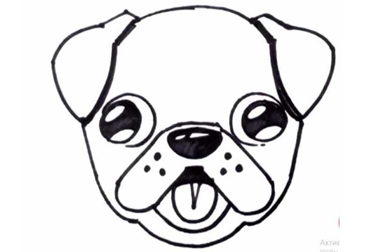 750x500 How To Draw A Pug Cute, Very Easy And Separately His Face