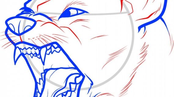 570x320 How To Draw A Dog Nose On Your Face