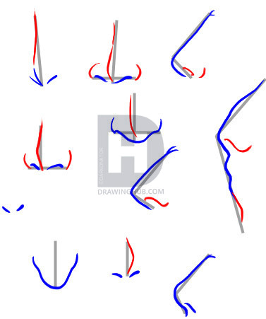 377x451 How To Draw Noses, Step