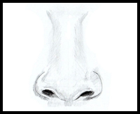200x162 How To Draw A Nose And The Face Drawing Tutorials Drawing How