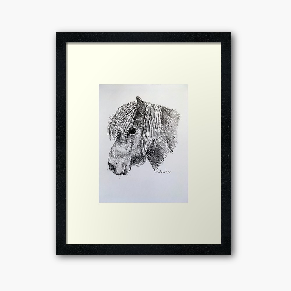 1000x1000 pencil drawing bluebell shetland pony equine framed print