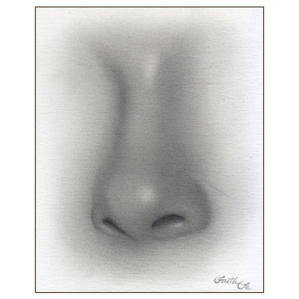 600x600 Female Nose Pencil Drawing Noses