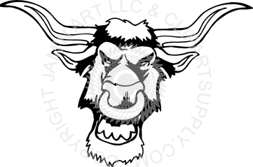 361x239 Bull Head With Big Nose Ring