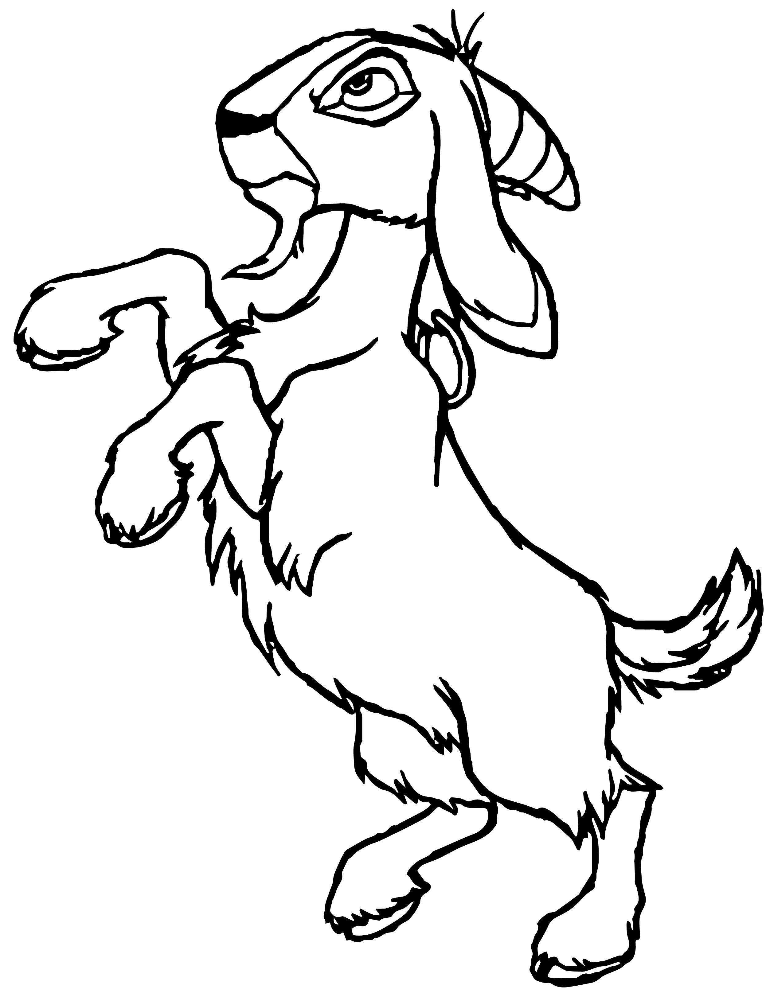 2507x3234 The Hunchback Of Notre Dame Djali Coloring