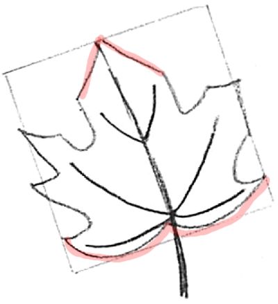 400x437 How To Draw Maple Leaves