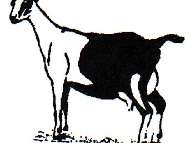 640x480 Free Drawn Goat, Download Free Clip Art