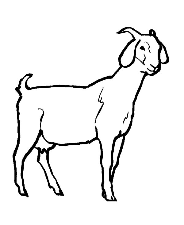 600x734 Goat Drawing Colorful For Free Download