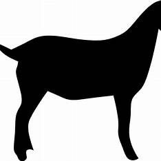 234x234 nubian goat clipart
