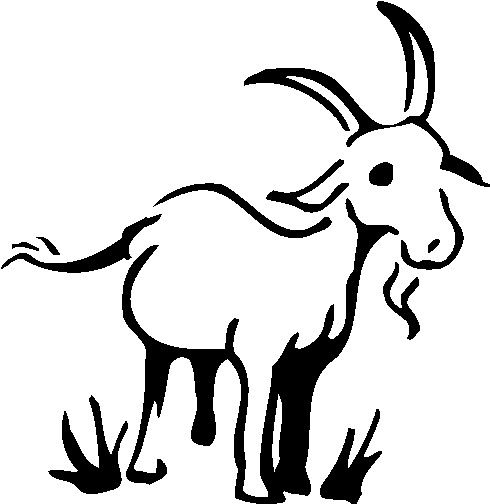490x504 Goat Drawing Vintage Clipart Free