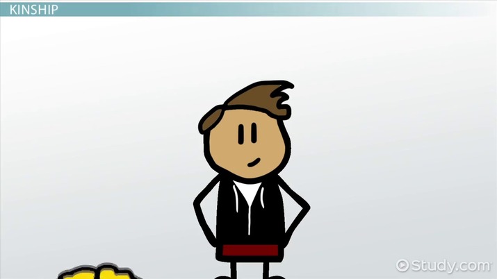 715x402 Types Of Family Kin Relationships