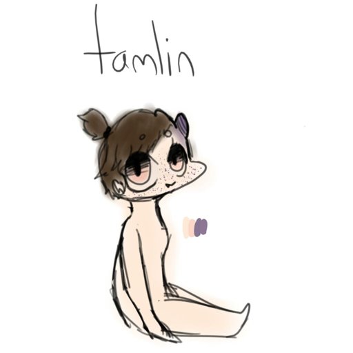 512x512 Ask A Nuclear Family Wiki Tomtord And Eddmatt Amino