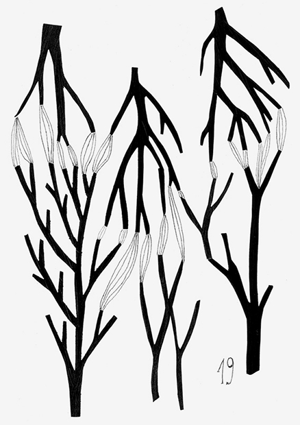 438x620 Every Day Paula Troxler