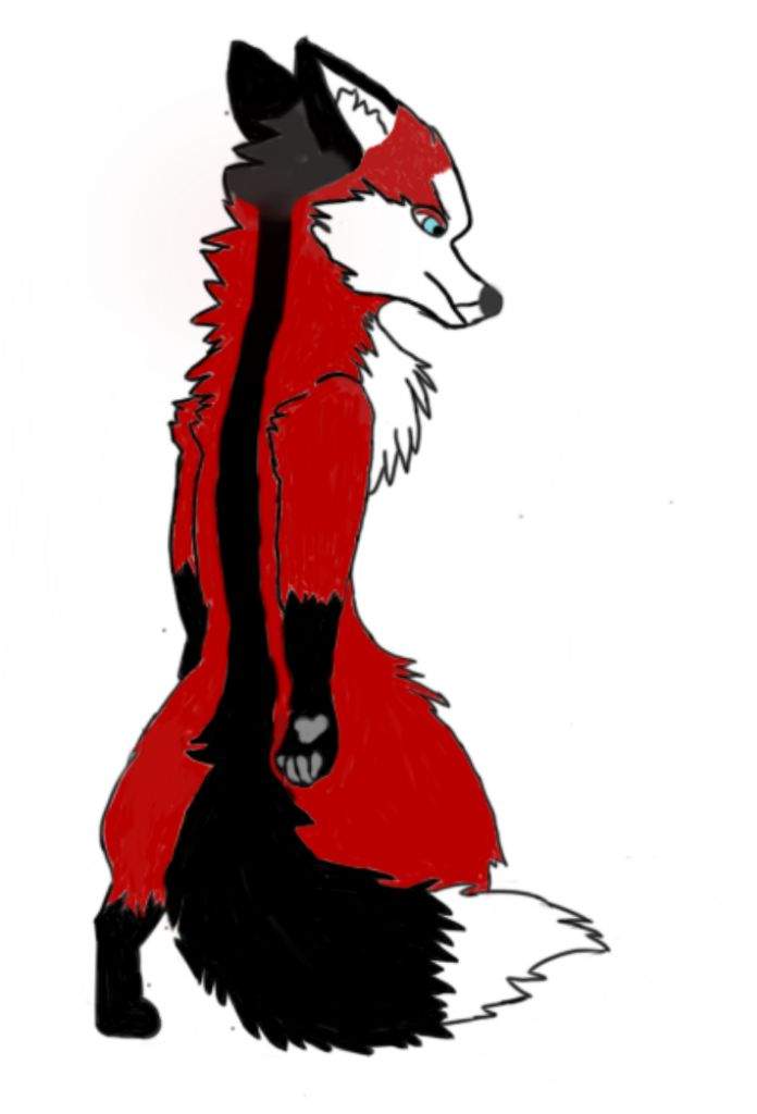 696x1024 Drawing Number Foxes Amino