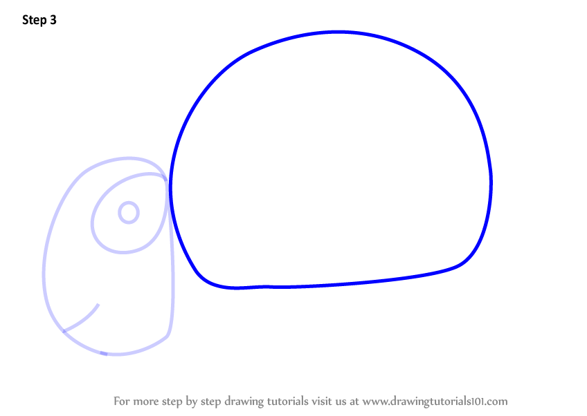 848x602 Learn How To Draw A Turtle Using Number