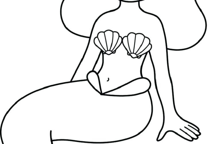 725x500 How To Draw Animals Step