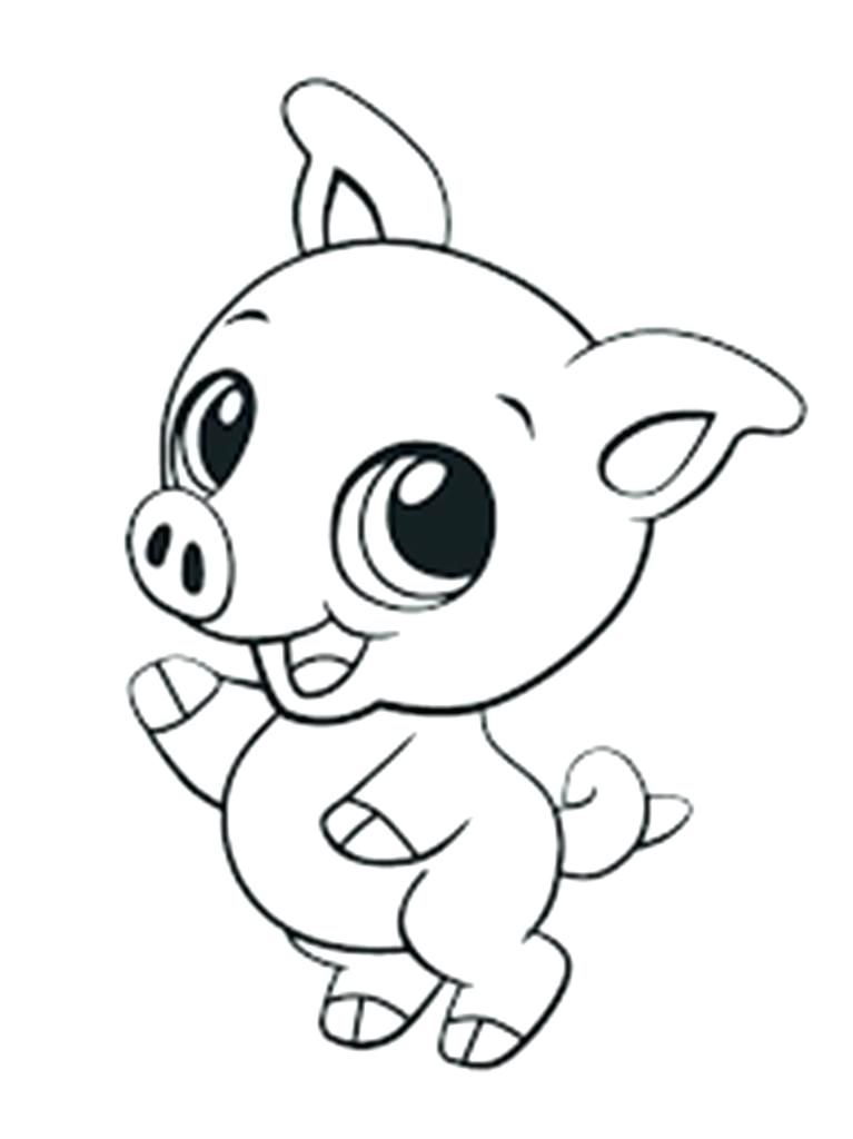 767x1024 Color Animal Animals With Unexpected Colors Color Animals Ark