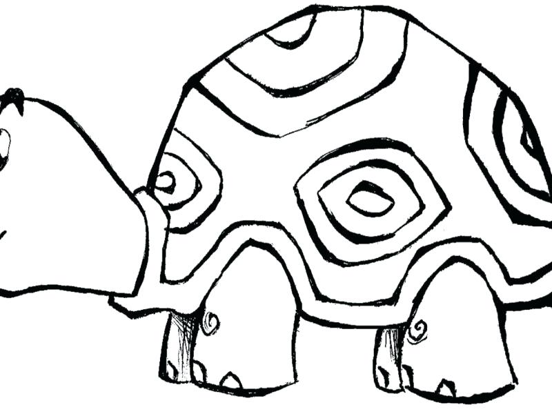 800x600 Coloring Pages Online