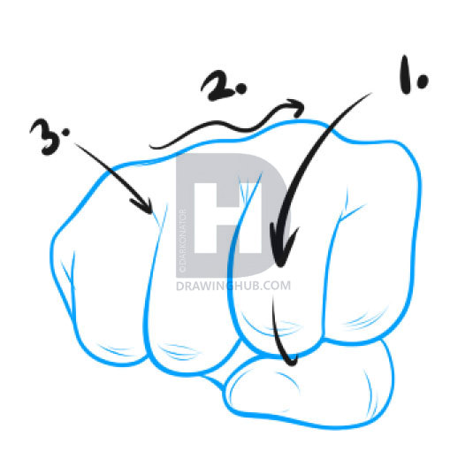 535x520 how to draw fists, step
