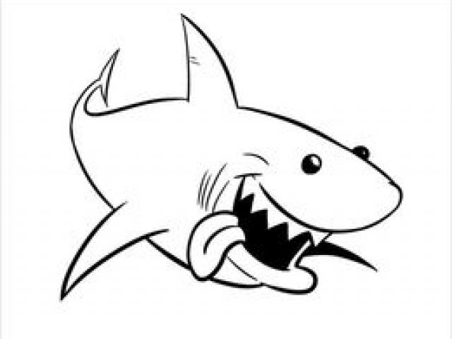 640x480 Free Tiger Shark Clipart, Download Free Clip Art