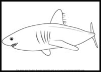 200x142 How To Draw Cartoon Sharks Realistic Sharks Drawing Tutorials