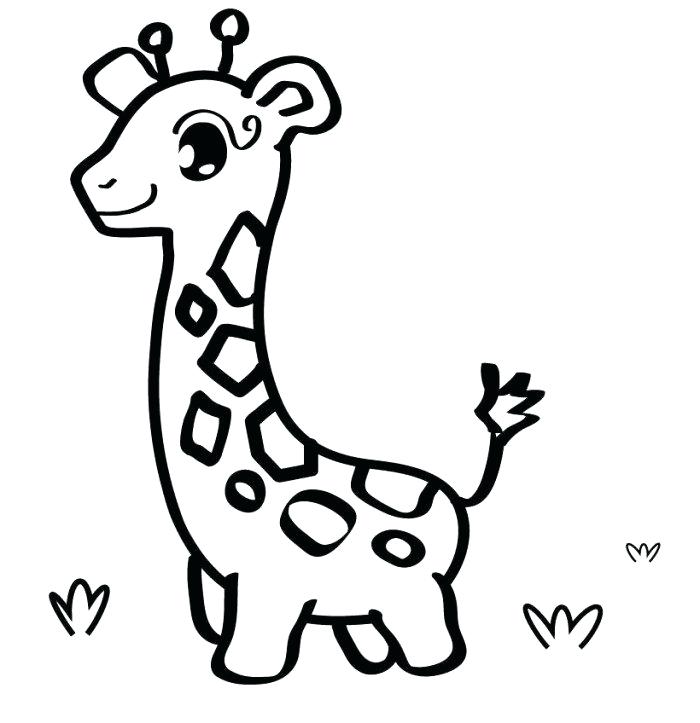 700x723 Baby Animal Drawing Baby Giraffe Free Coloring Pages Of Animals