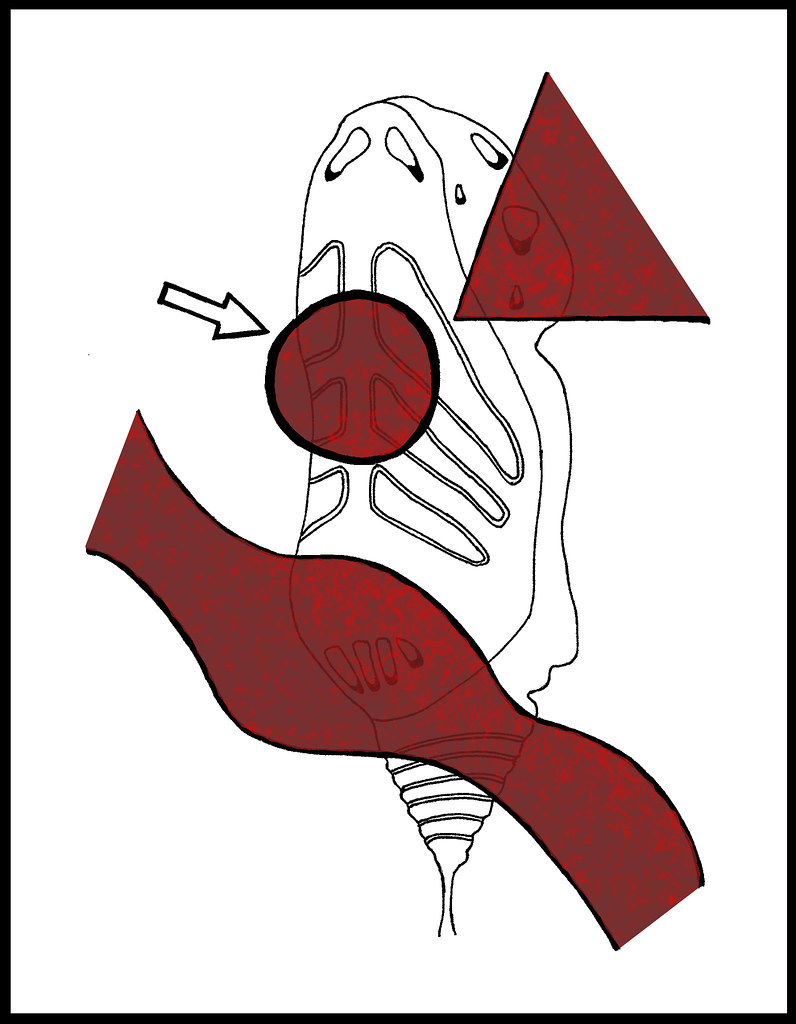 796x1024 The World's Best Photos Of Art And Criminal