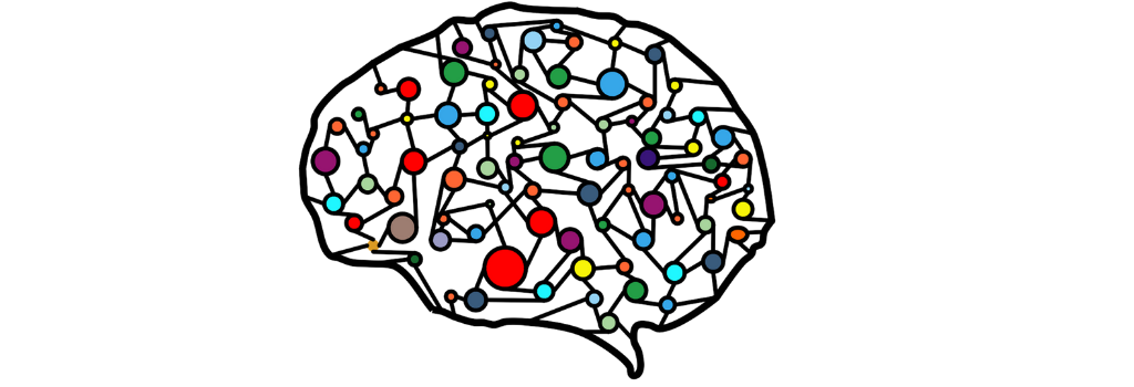 1024x350 Brain Based Leadership What's Missing