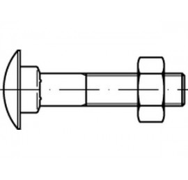 270x258 Carriage Bolt Cw Nut