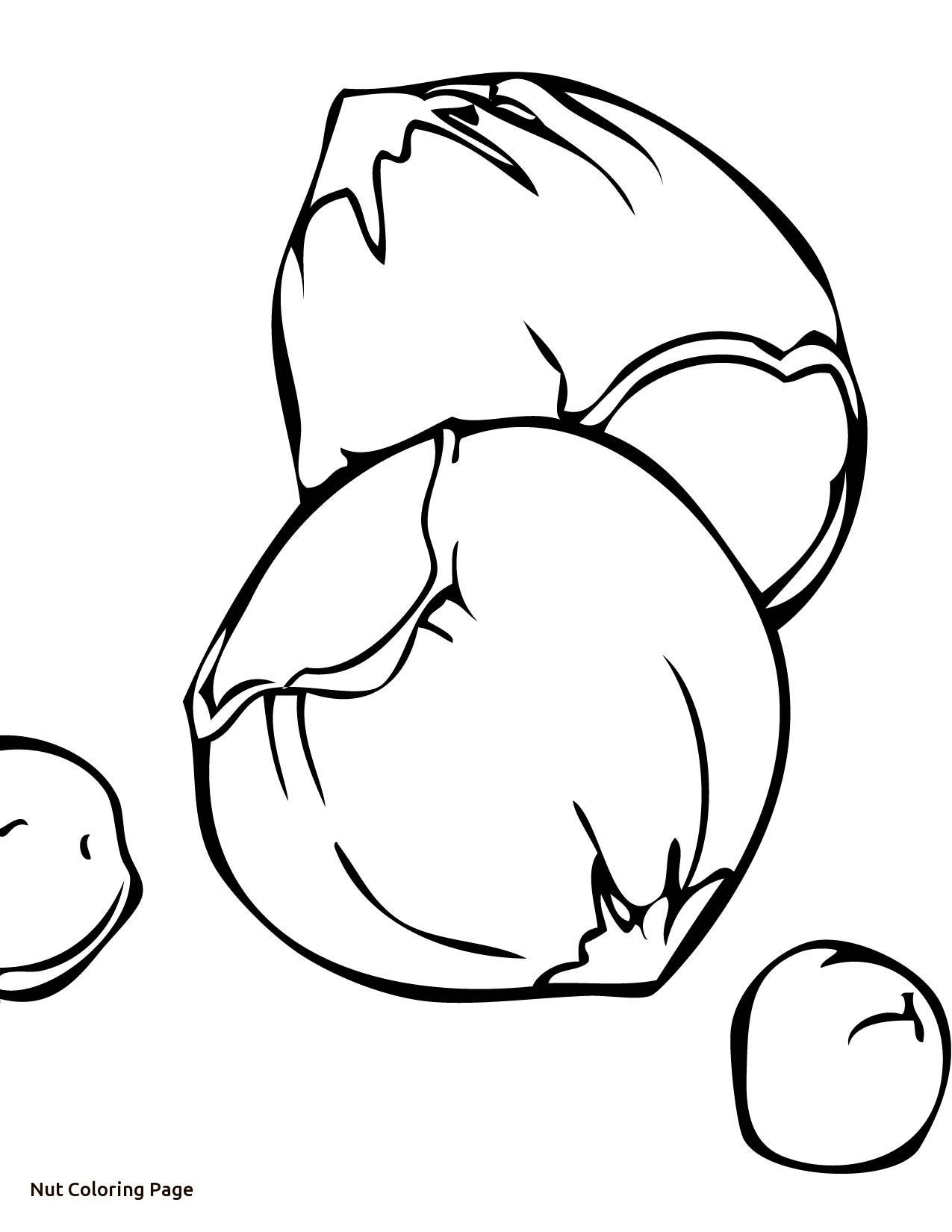 1275x1650 Nut Clipart Colouring Within Nuts Coloring