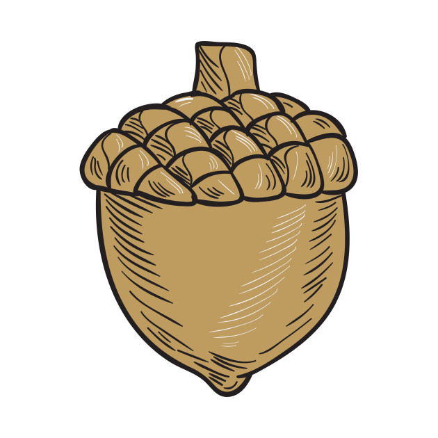 630x630 Acorn Drawing