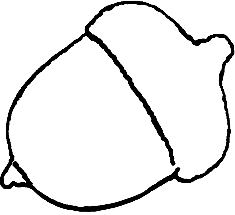 826x754 Collection Of Free Acorn Drawing Oak Nut Download On Ui Ex