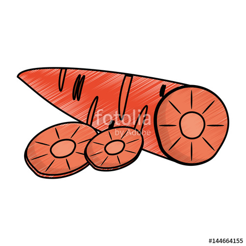 500x500 Drawing Carrot Food Nutrition Vector Illustration Stock