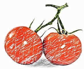 293x238 gifts delight laminated inches poster tomatoes