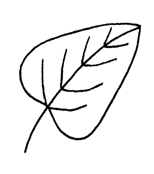600x676 Small Simple Drawings Drawing Leaves Small Oak Leaf
