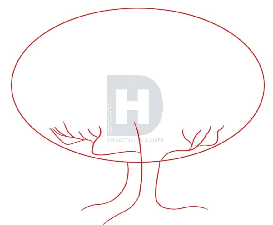 874x720 Draw An Oak Tree