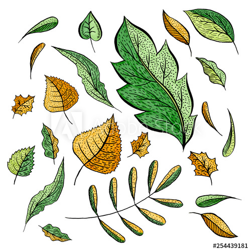 500x500 Autumn Leaves Marker Hand Drawn Illustrations Set Flying Isolated