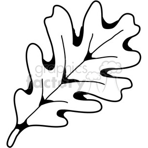 300x300 White Oak Leaf Clipart Royalty Free Clipart