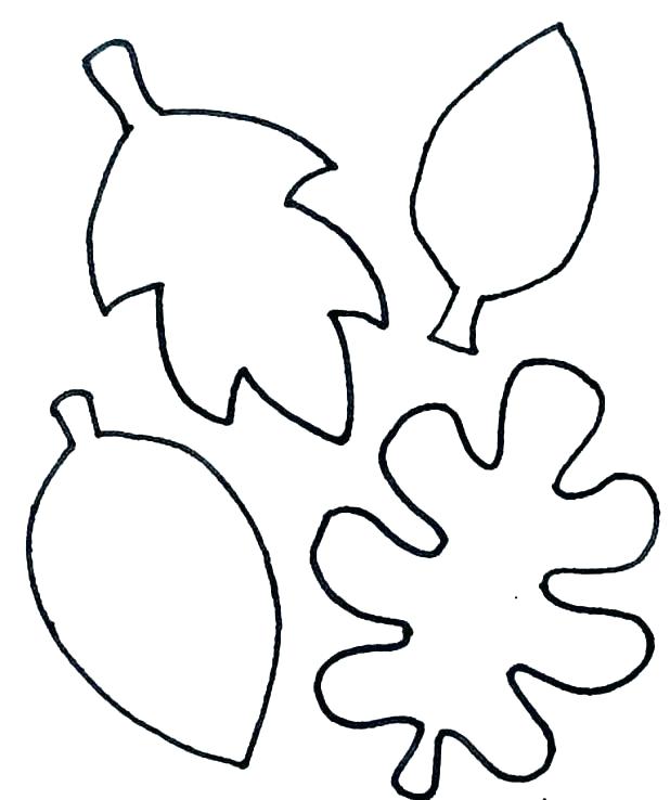 Oak Leaf Drawing Template | Free download on ClipArtMag