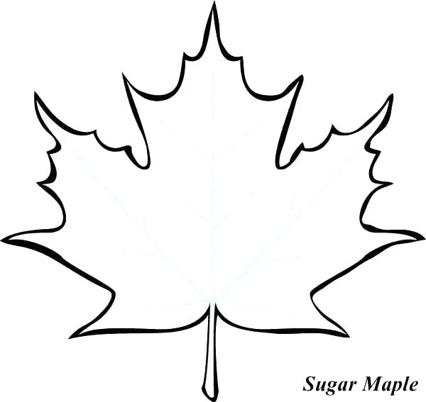 600x567 Art Leaves Leaf Template And Ivy Episode Pumpkin Cake