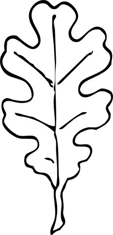 229x478 Oak Leaf Local Natural Leaves, Leaf Stencil, Printable Leaves