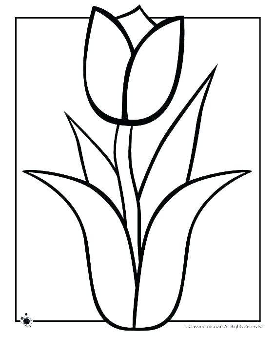 564x729 Coloring Pages To Print Coloring