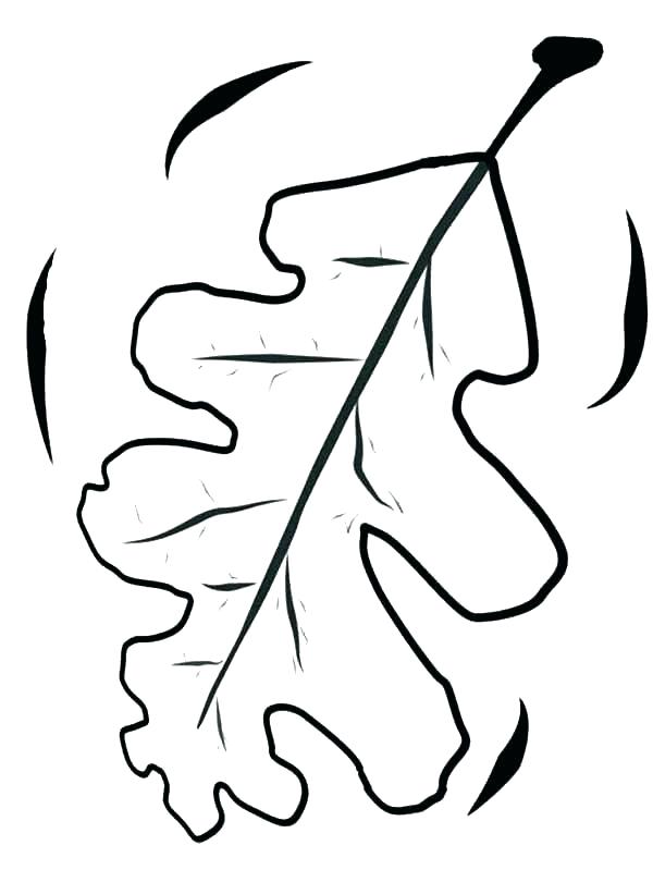 600x799 Coloring Pagesof A Leaf Coloring E Leaf Free Printable Es