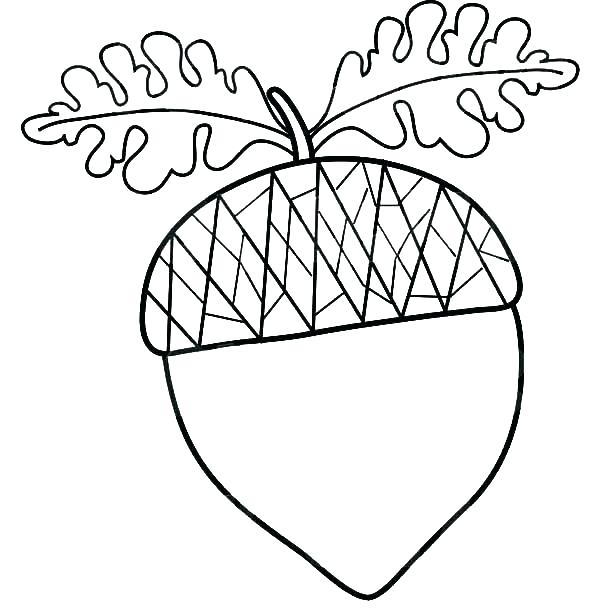 Oak Leaf Line Drawing | Free download on ClipArtMag