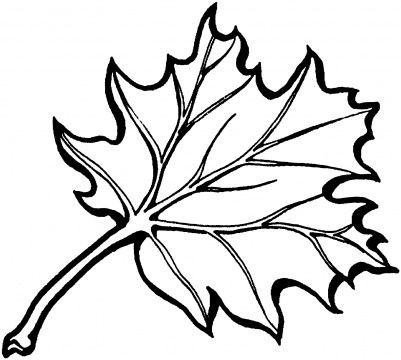 401x360 oak leaf outline black oak leaf tattoos